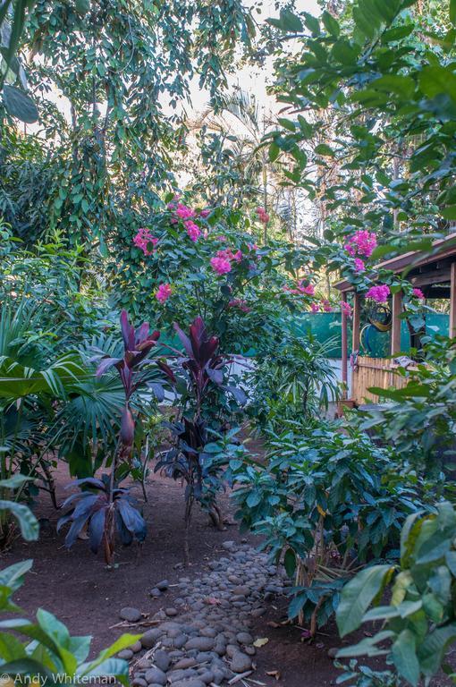 Casa Smilin' Dog Tamarindo Quarto foto